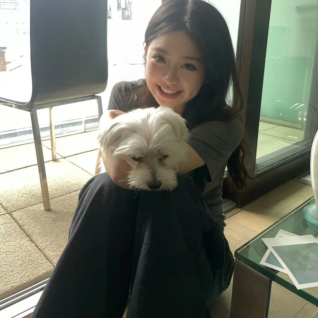 叔比狗巨灵犬大闹科展